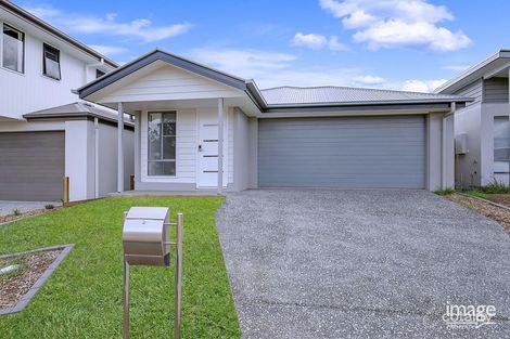 Property photo of 11 Melthorn Place Bracken Ridge QLD 4017