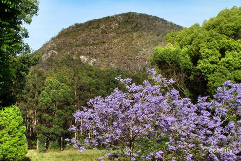 Property photo of 7 Martin Street Cooran QLD 4569