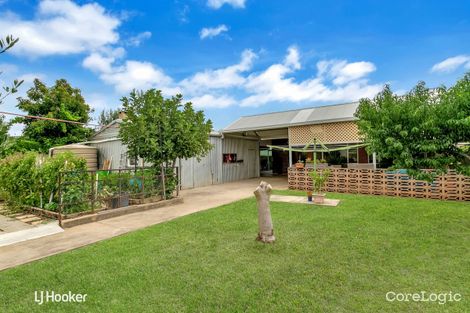 Property photo of 62 Canterbury Avenue Trinity Gardens SA 5068