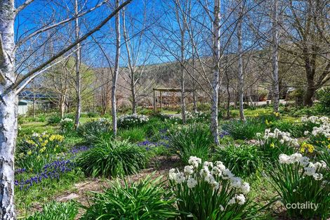 17 Mount Porepunkah Rd, Bright, VIC 3741