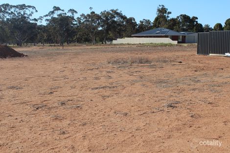 Property photo of 1 Jennifer Court Robinvale VIC 3549