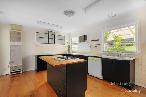 Property photo of 49 Carrol Grove Mount Waverley VIC 3149