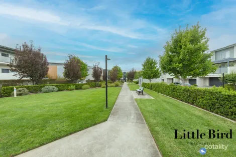 Property photo of 105/1 Dunphy Street Wright ACT 2611