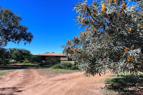 Property photo of 56 Polo Road Deepdale WA 6532