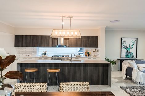 Property photo of 48 Tranters Avenue Camp Hill QLD 4152