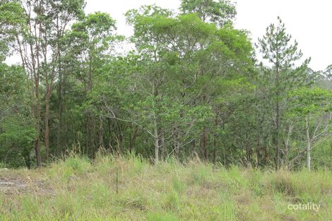 Property photo of 34 William Road Eumundi QLD 4562