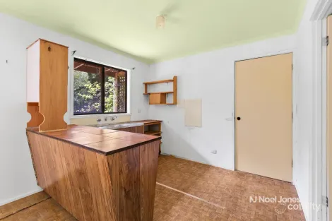 Property photo of 456 Two Hills Road Glenburn VIC 3717