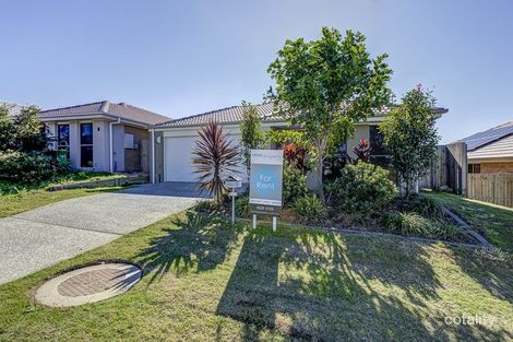 13 Woodrose Cct, Pimpama, QLD 4209