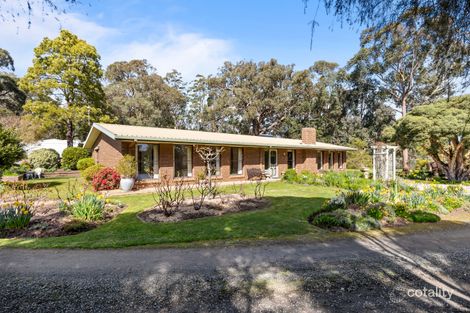 41 JOLLYS HILL RD, SMYTHES CREEK, VIC 3351