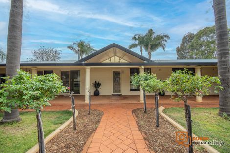 113r Minore Rd, Minore, NSW 2830