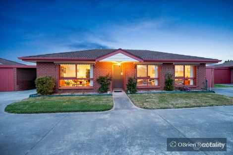 3/36 York St, Bonbeach, VIC 3196