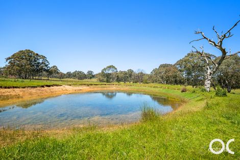 Property photo of 193 Pages Flat Road Pages Flat SA 5172