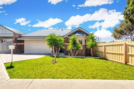 11 Molloy Ct, Bell Post Hill, VIC 3215