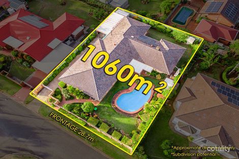 Property photo of 41 Davrod Street Robertson QLD 4109