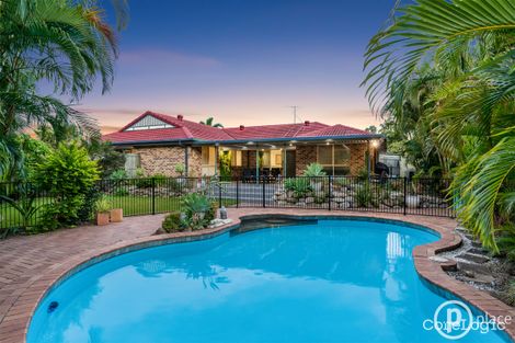 Property photo of 13 Grevillea Crescent Calamvale QLD 4116