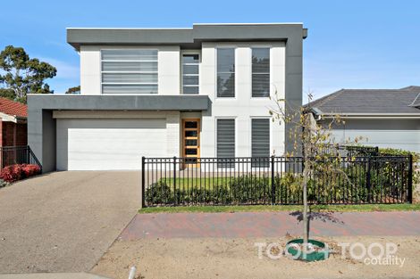 60 Nilpena Ave, Morphettville, SA 5043