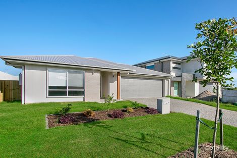 8 Byron Ave, Newport, QLD 4020