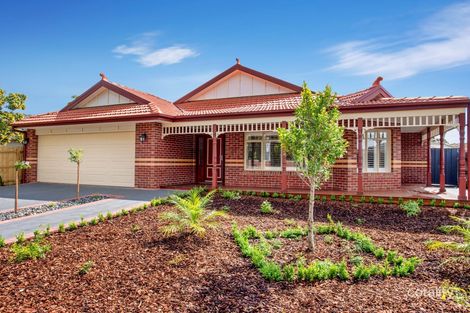 41 Cardinal Rd, Glenroy, VIC 3046