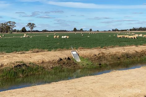 1751 Koondrook-Murrabit Rd, Murrabit, VIC 3579