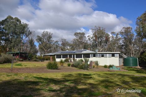 29 Blakes Lane, Elsmore, NSW 2360