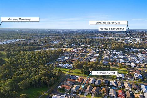 Property photo of 17 Jasmine Street Wakerley QLD 4154