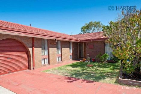 42 Groyder Way, Padbury, WA 6025