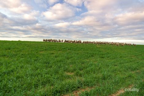 2044 Lowbank Rd, Boolgun, SA 5330