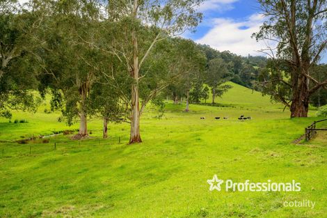 Property photo of 1415 Little Yarra Road Gilderoy VIC 3797
