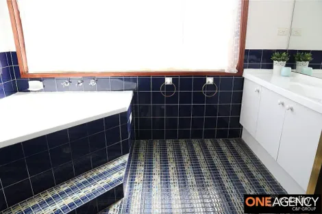 Property photo of 293 Welling Drive Mount Annan NSW 2567