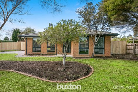 Property photo of 41 Jacqueline Drive Aspendale Gardens VIC 3195