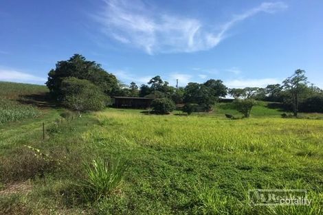 Property photo of 127 Nerada Road Nerada QLD 4860