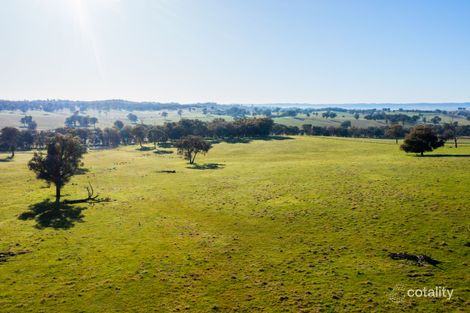 Keajura Rd, Tarcutta, NSW 2652