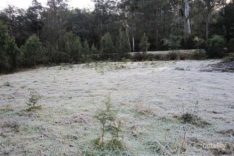 Lot 13 Wilmot Rd, Kindred, TAS 7310