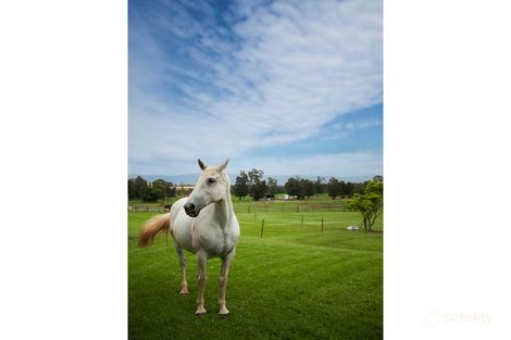 Property photo of 14 Spoonbill Place Albion Park Rail NSW 2527
