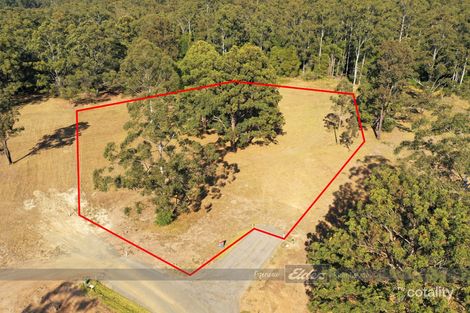 Property photo of 30 Wallaby Creek Close Failford NSW 2430