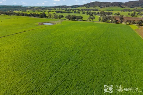 Property photo of 365 Erudgere Lane Erudgere NSW 2850