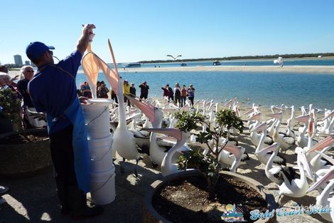 402/17 Bath St, Labrador, QLD 4215