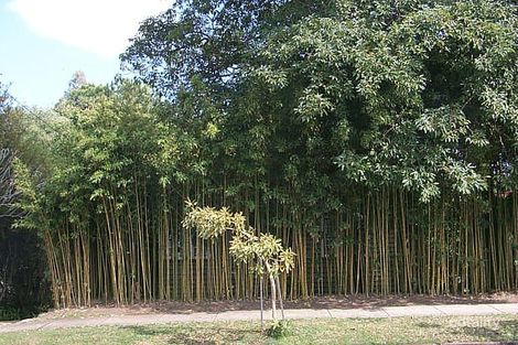 167 Fingal St, Tarragindi, QLD 4121