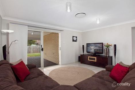 Property photo of 35 Junior Terrace Northgate QLD 4013