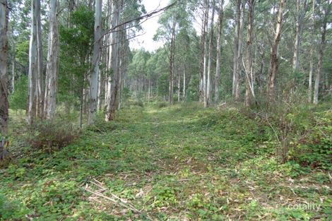 293 Roger River Rd, Roger River, TAS 7330