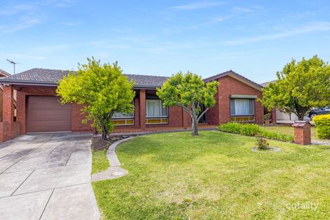 Property photo of 17 Lorelle Avenue Athelstone SA 5076