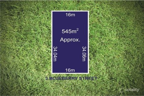 3 Blueberry St, Greenvale, VIC 3059