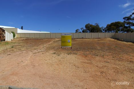 Property photo of 51 McLean Street Berri SA 5343