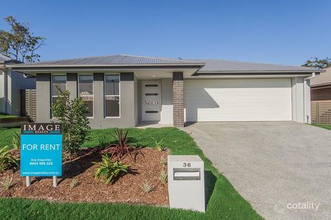 36 Spica Cres, Coomera, QLD 4209