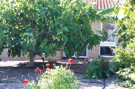 Property photo of 447 Morrison Road Swan View WA 6056