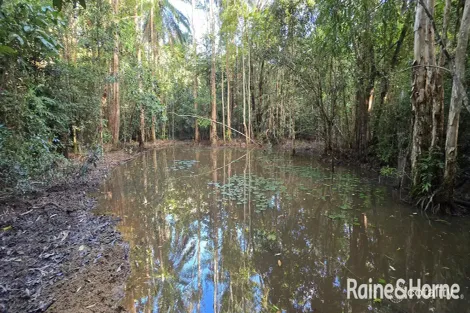 Property photo of 103 Ronald Road Forest Creek QLD 4873