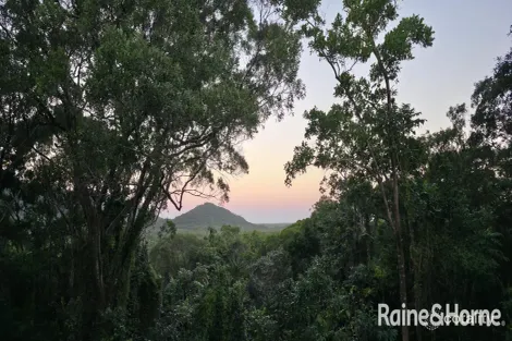 Property photo of 103 Ronald Road Forest Creek QLD 4873