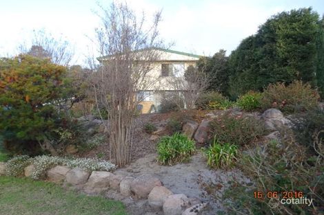 Property photo of 12 Minna Street Stanthorpe QLD 4380