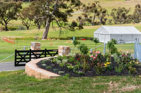 6 Quince Paddock Pl, Wamboin, NSW 2620