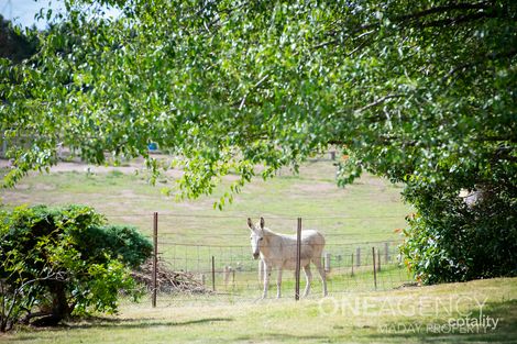 Property photo of 304 Joadja Road Mandemar NSW 2575